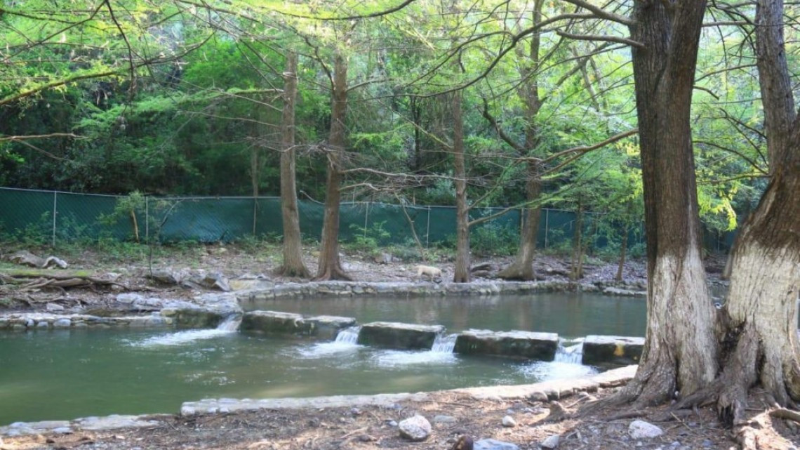 Con medidas sanitarias Victoria recibe a paseantes