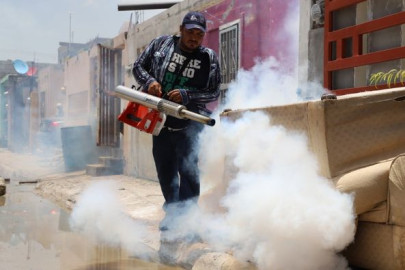 Tras lluvias exhorta Salud a eliminar cacharros y criaderos del mosquito transmisor del dengue