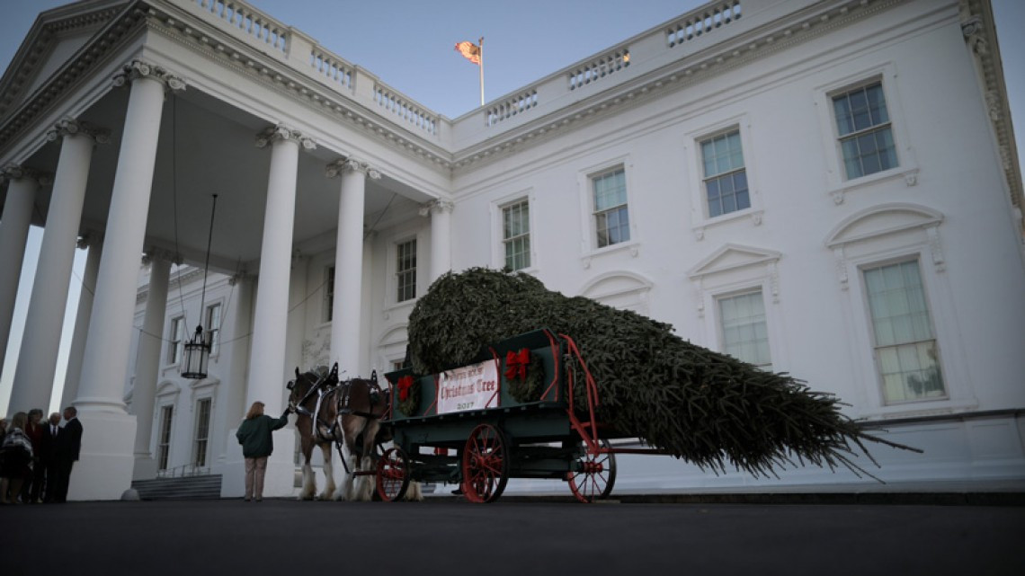 El primer árbol navideño de la familia Trump en la Casa Blanca