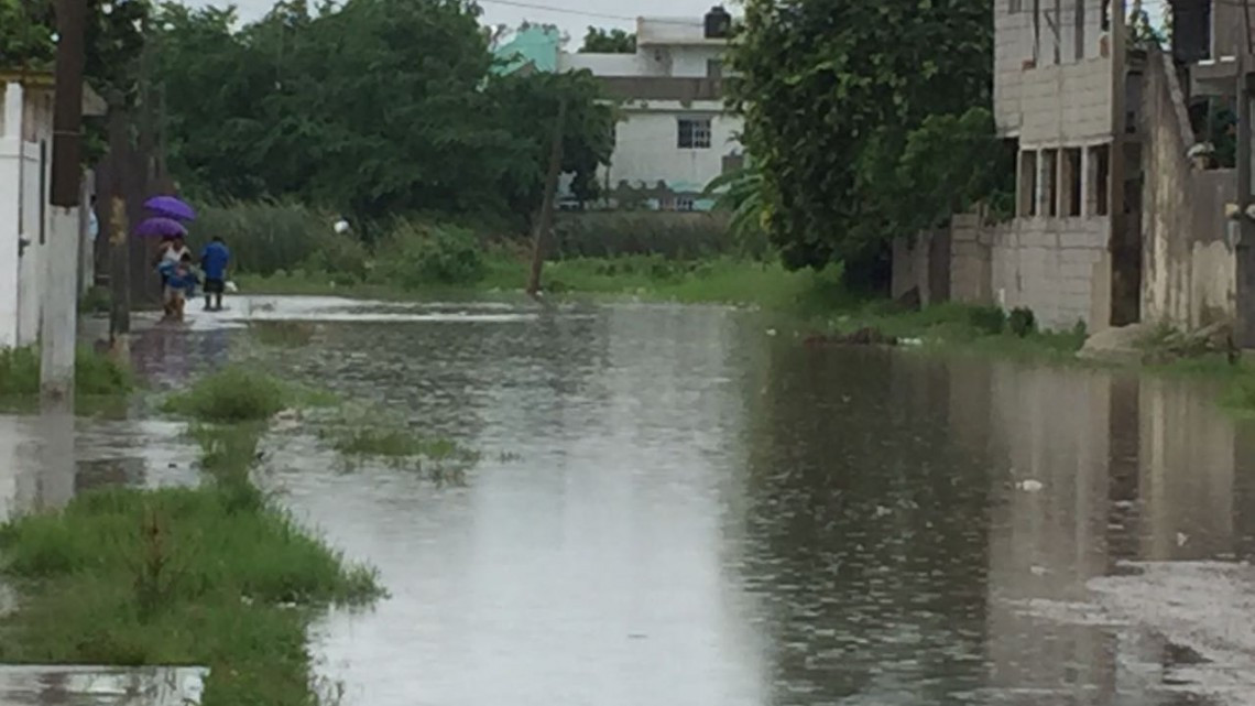 Laguna Nuevo Amanecer se mete a más de 50 casas en Madero 