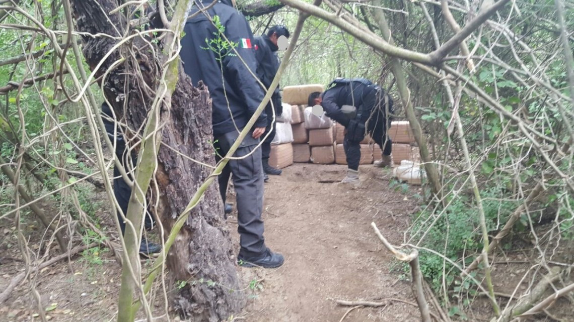 Policía Estatal asegura marihuana 
