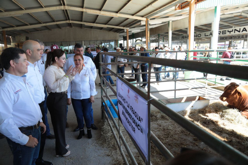Por segundo año consecutivo gobierno municipal llevará a cabo programa de mejoramiento genético para ganaderos