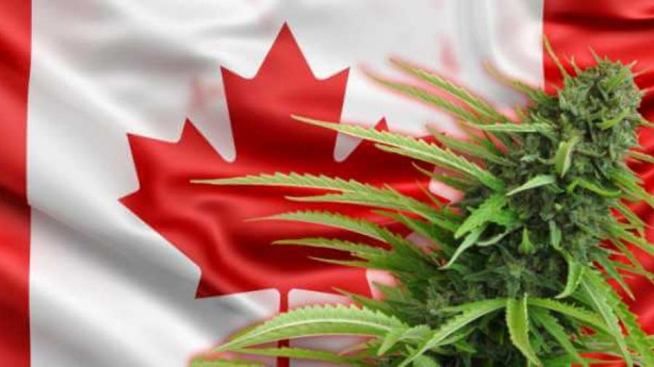 Canadá legaliza la marihuana recreativa