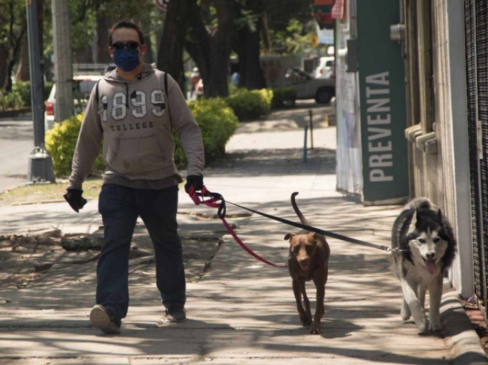 Sin daños tras sismo en CDMX