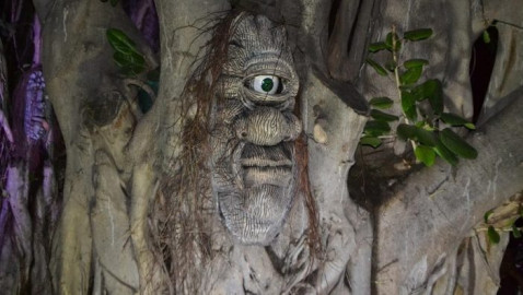 Invadirá "Bosque encantado" a Reynosa