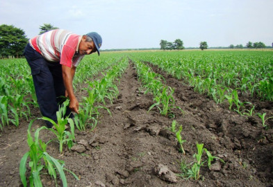 Dotarán de agua suficiente al Distrito 025