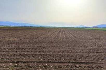 Agricultores colapsados y sin recursos para preparación de tierras