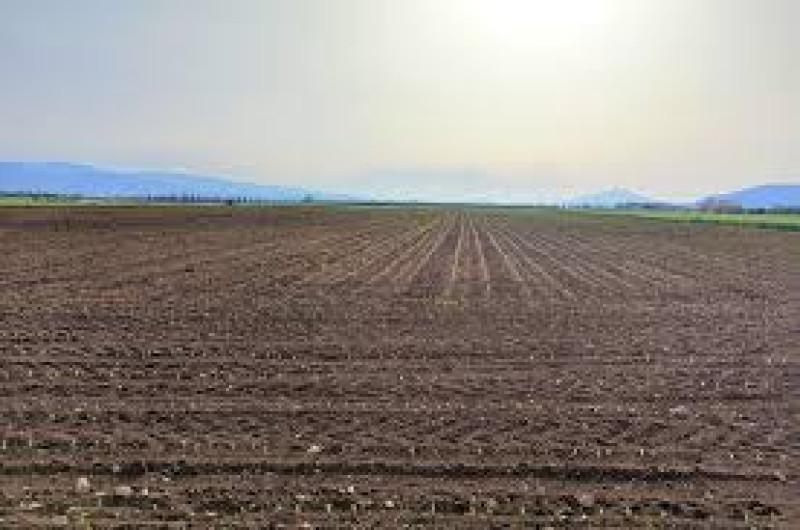 Agricultores colapsados y sin recursos para preparación de tierras