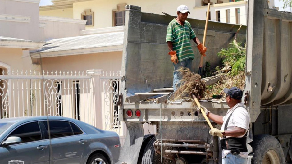 Limpian Colonia Leonística