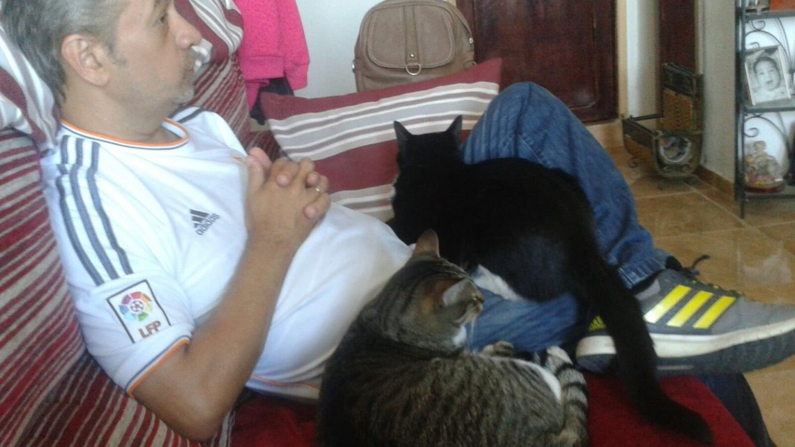 ¡No quiero animales!, días después...