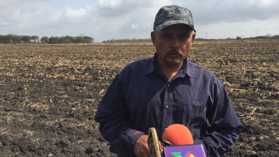 Felino acecha estudiantes de primaria y secundaria en Altamira