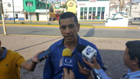 Habilitan centros de acopio en Madero para árboles de Navidad