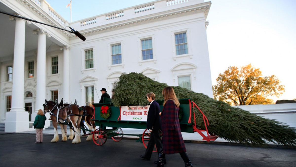 El primer árbol navideño de la familia Trump en la Casa Blanca