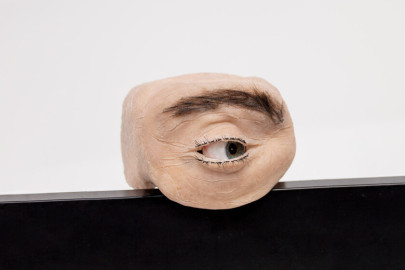 Crean una webcam con ojo de aspecto humano