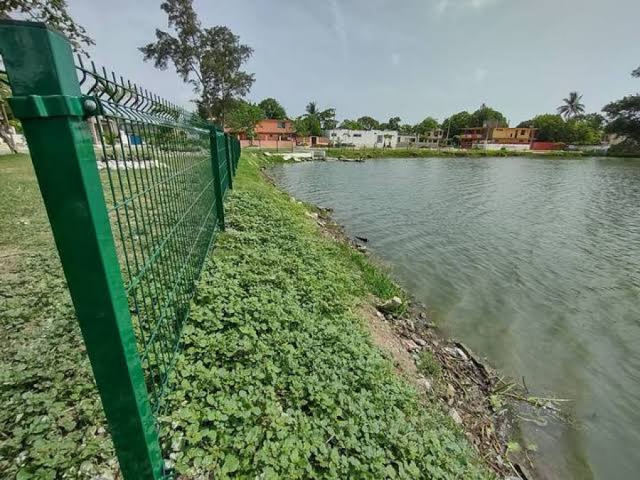 Por peligro de cocodrilos, cercan lagunas en Madero