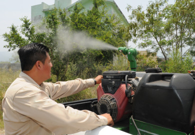 Intensifica Tamaulipas prevención del dengue, zika y chikungunya
