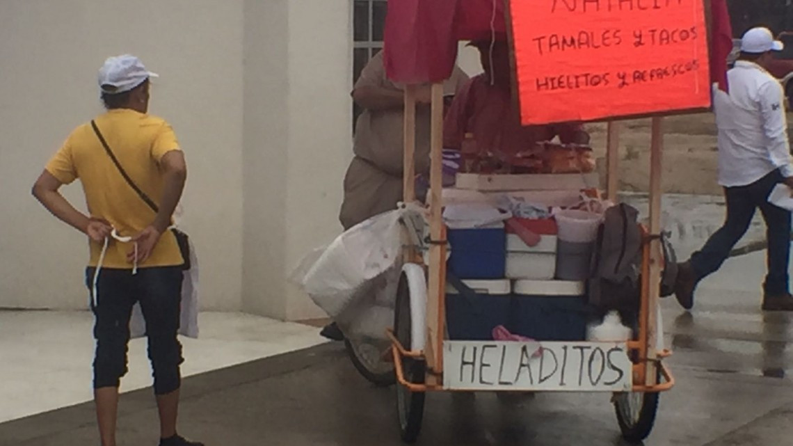 Decomisa Coepris ostiones y camarones en playa Miramar