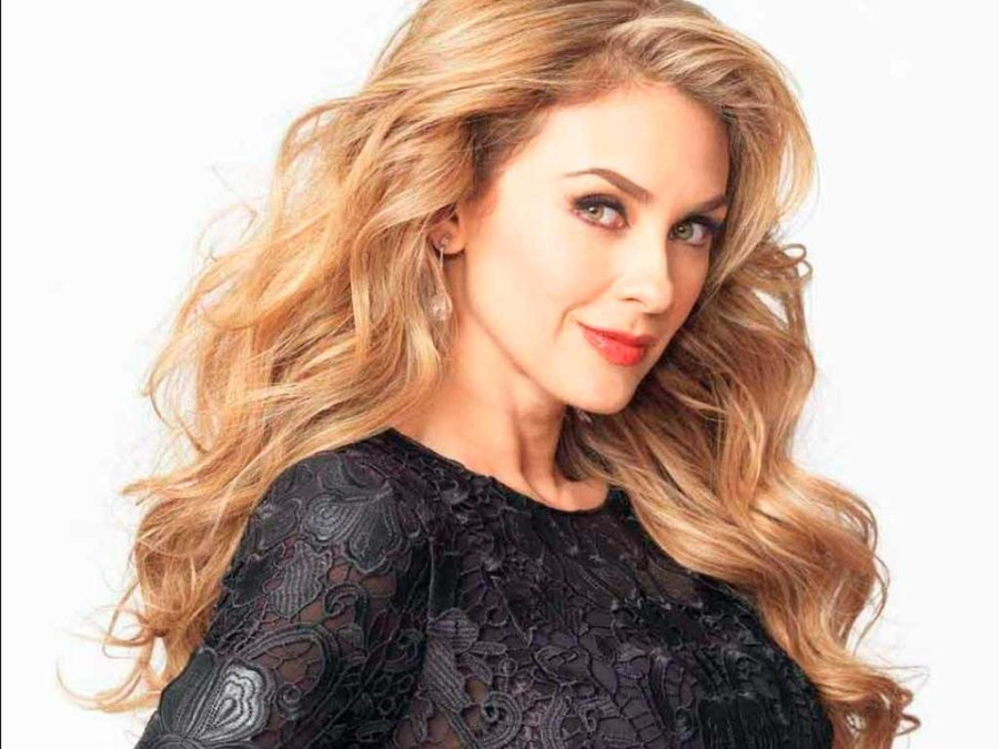 Aracely Arámbula no quiere ser mencionada en serie de Luis Miguel