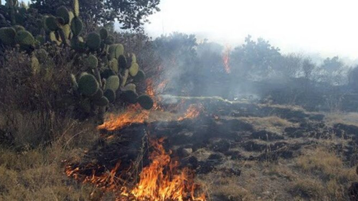 Reporta PC Matamoros incremento en incendios de zacatales
