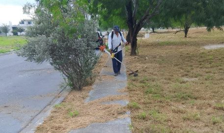 Atienden cuadrillas del Gobierno de Reynosa limpieza, bacheo y alumbrado público 
