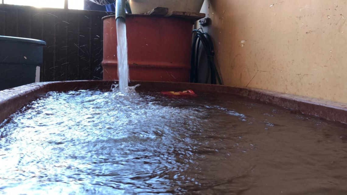 Ante megacorte de agua pipas abastecen a Victoria