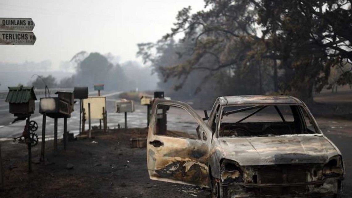 Al menos un 1.000 millón de animales muertos por incendios en Australia