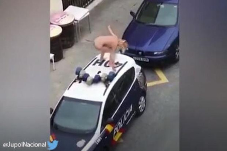Mujer se desnuda y agrede a policías