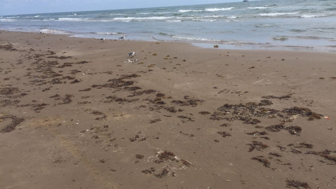 Aparecen manchas de chapopote en la playa Bagdad